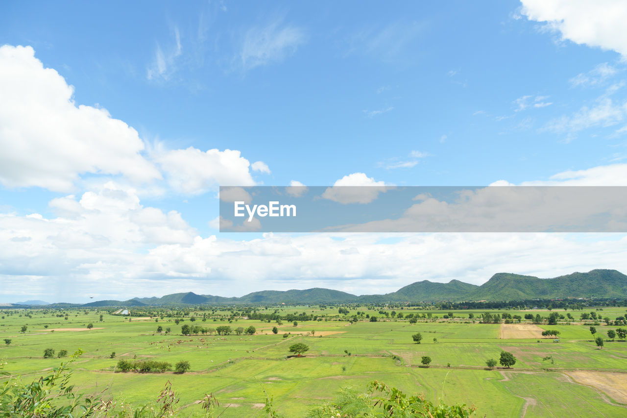 Scenic view of agricultural field against sky