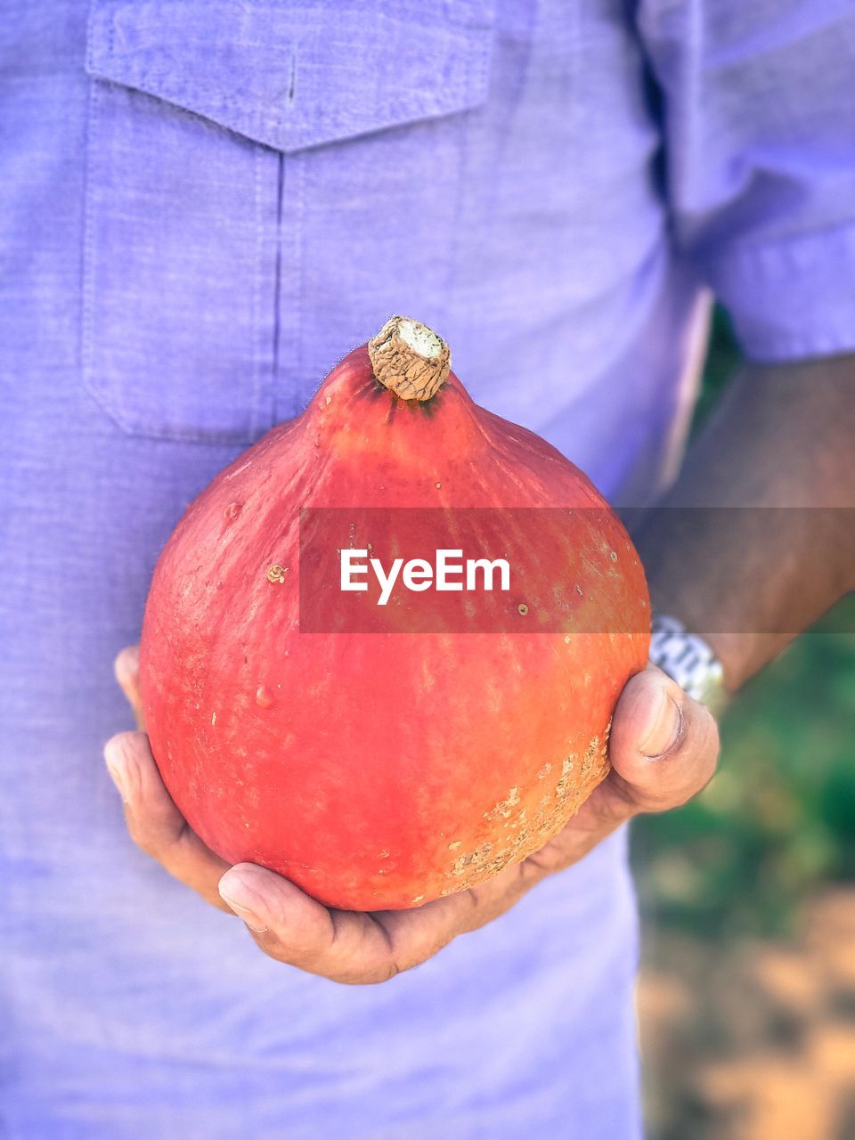 Close-up of hand holding pumpkin