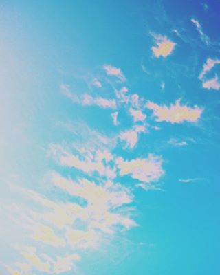 LOW ANGLE VIEW OF TREES AGAINST BLUE SKY