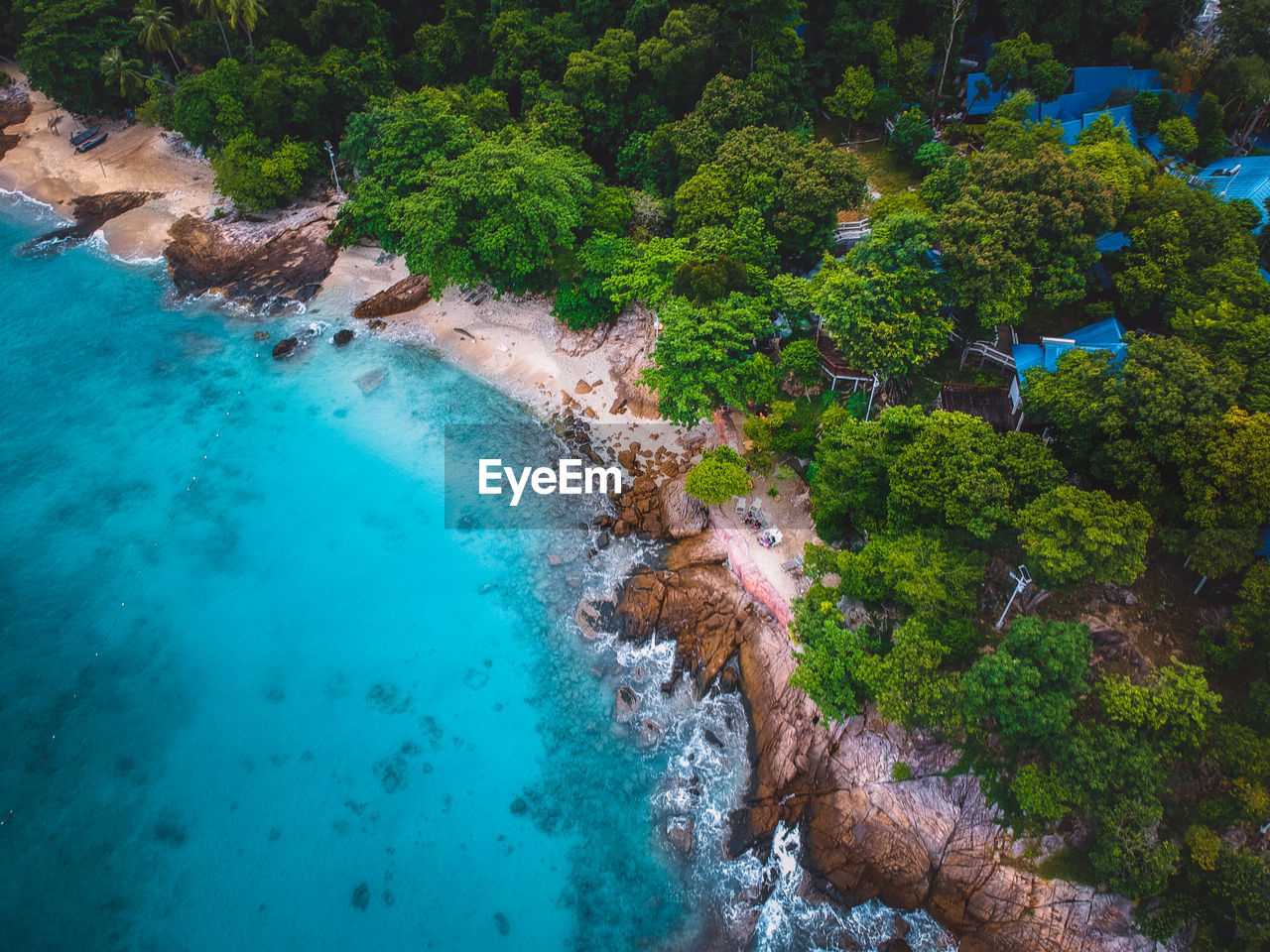 Aerial view of sea shore by forest