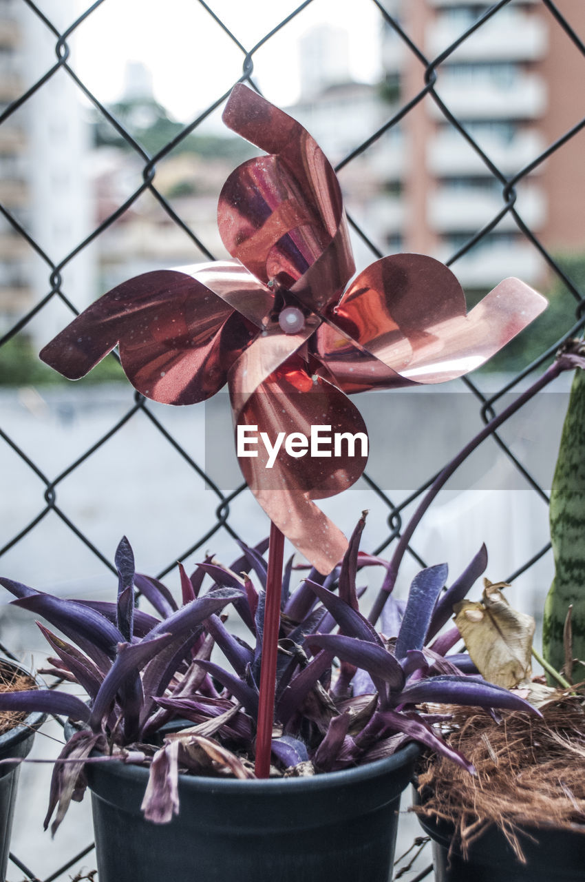 Pinwheel toy in potted plant against chainlink fence