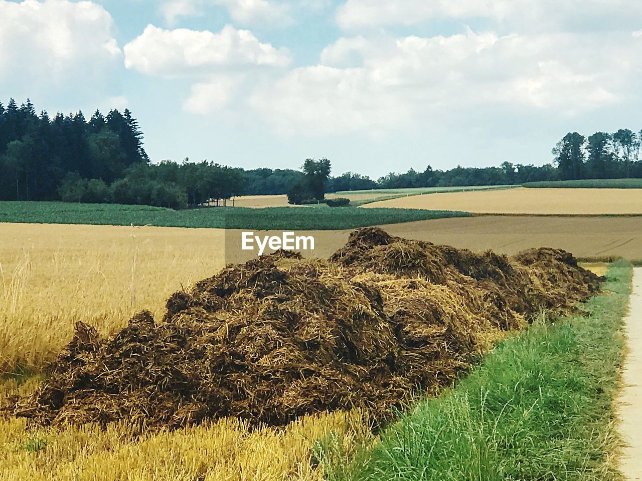 SCENIC VIEW OF FARM AGAINST SKY