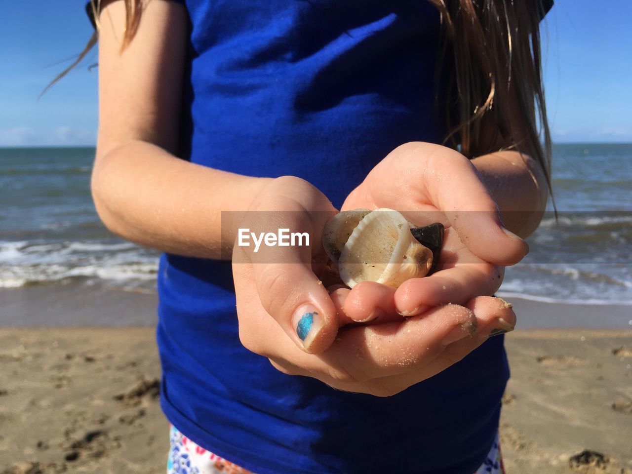 Midsection of girl holding seashell at beach