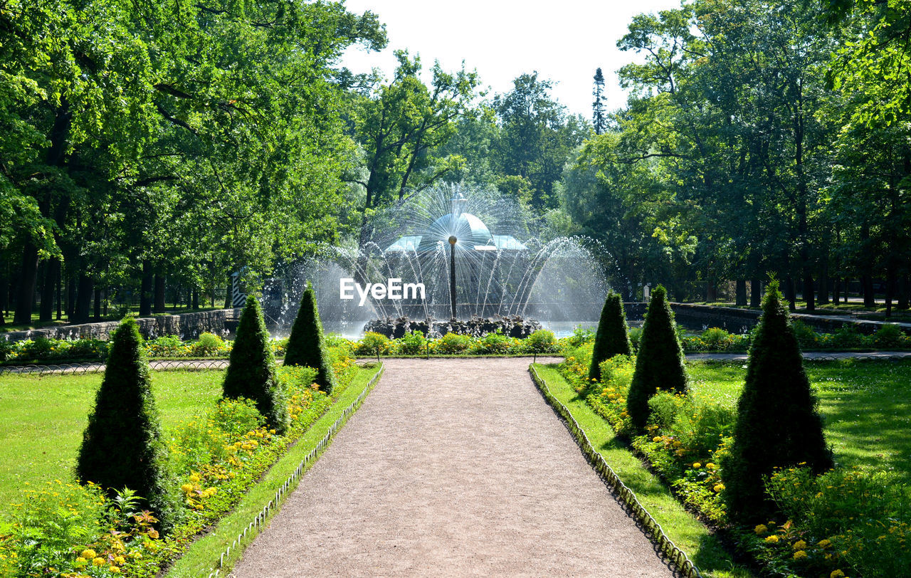 Peterhof park