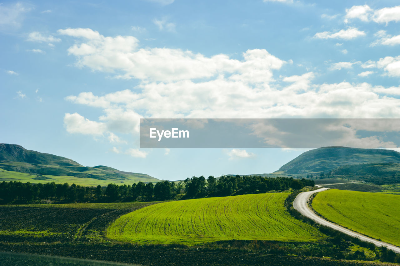 Scenic view of agricultural field against sky