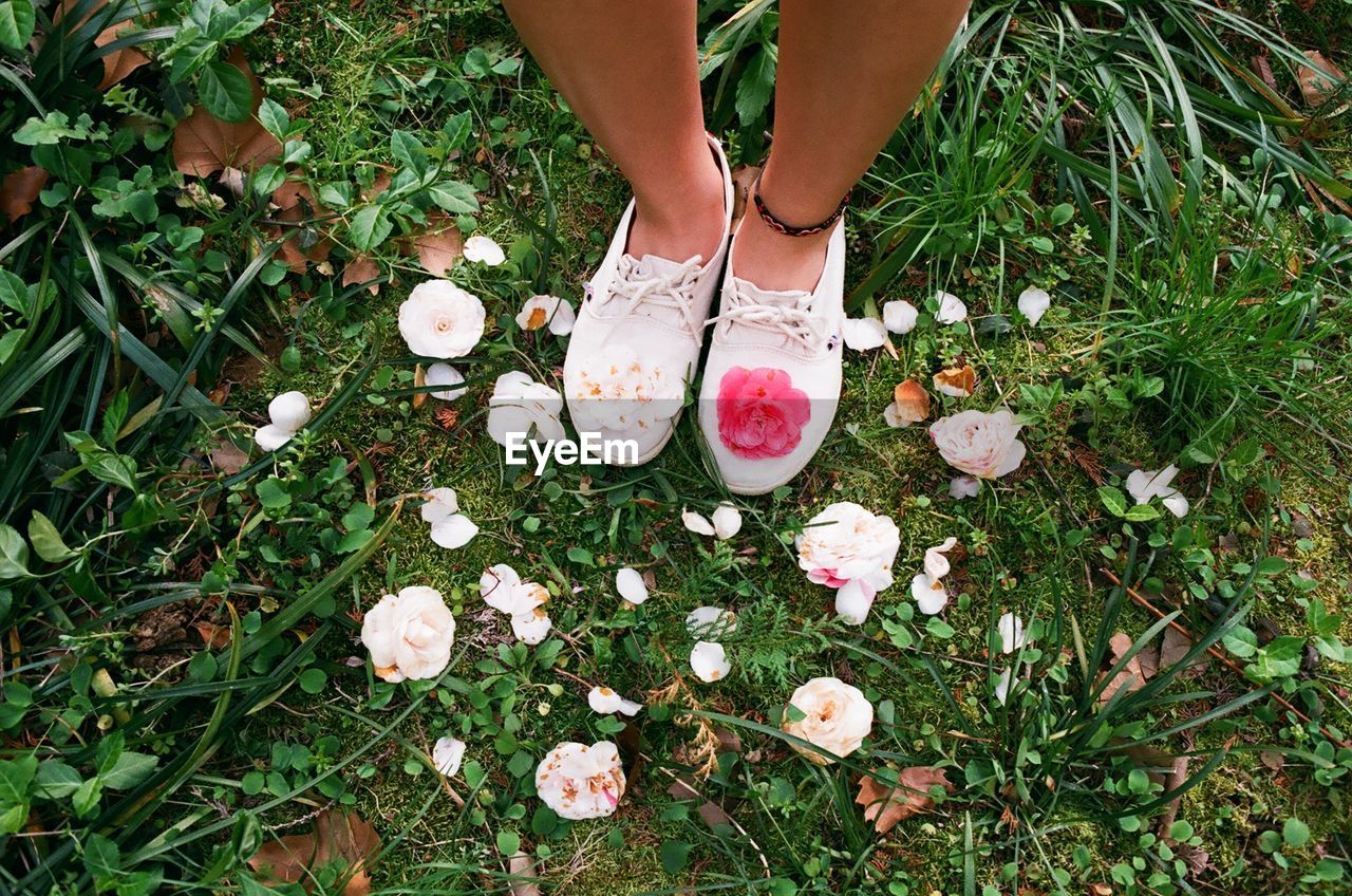 Low section of woman standing by white flowers at park