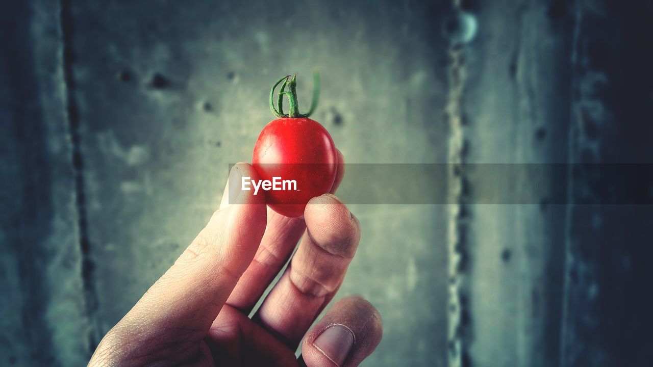 Close-up of hand holding cherry tomato