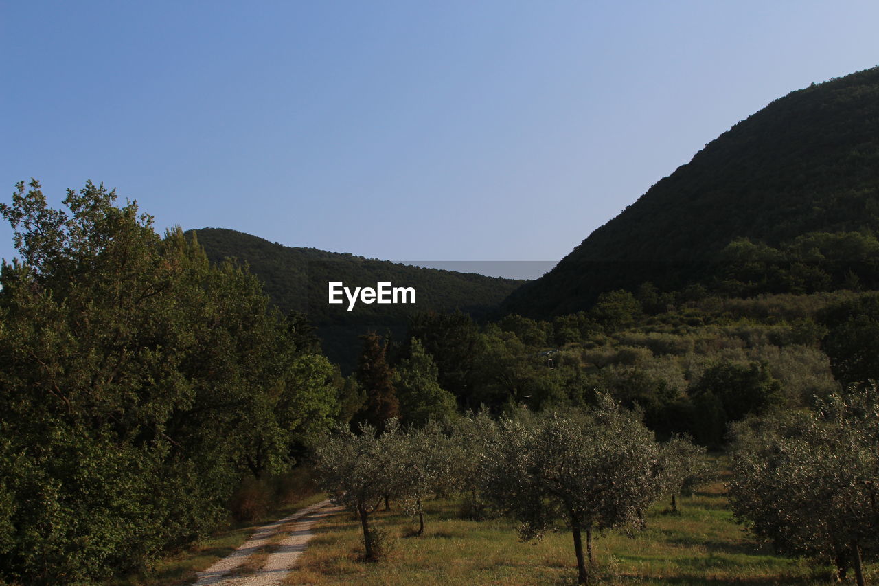 Scenic view of landscape against clear sky