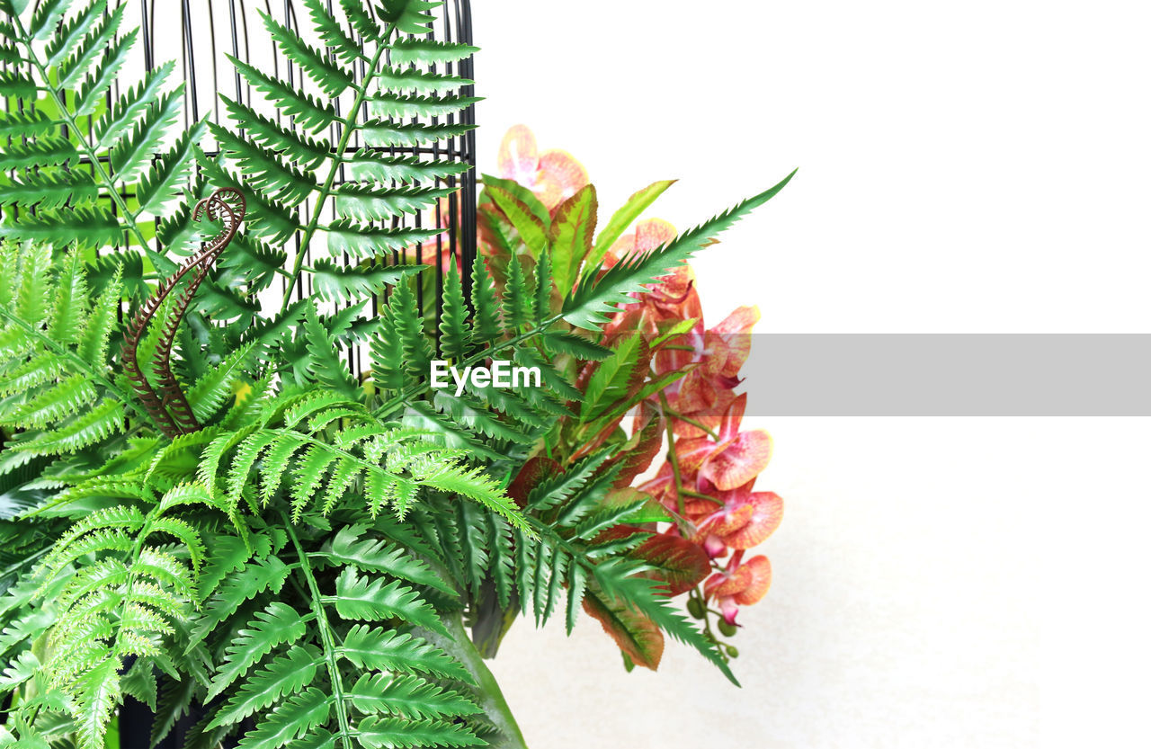 Colorful flower and green paln leaves in cage hanging decoration