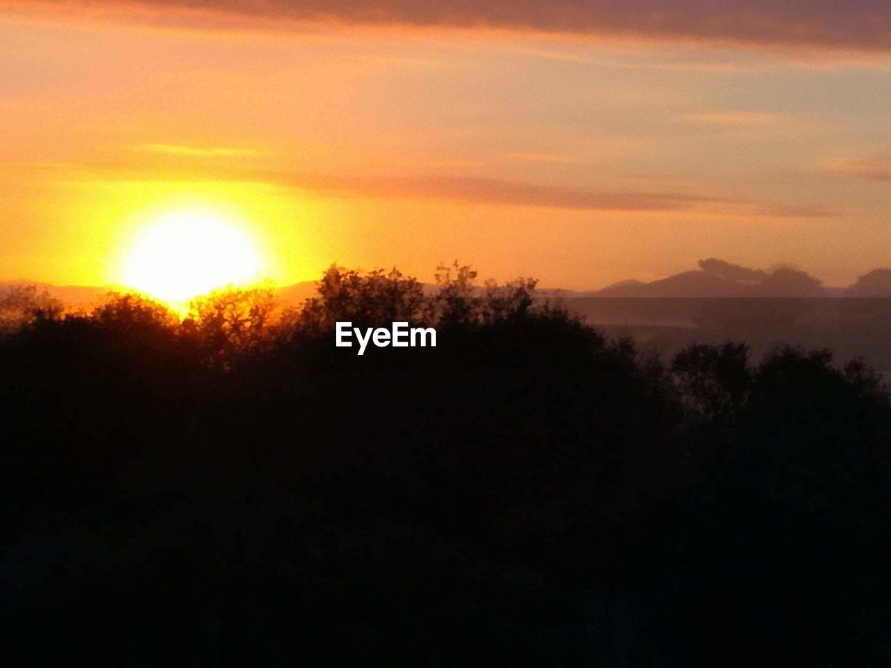 SCENIC VIEW OF SILHOUETTE TREES AGAINST ORANGE SKY