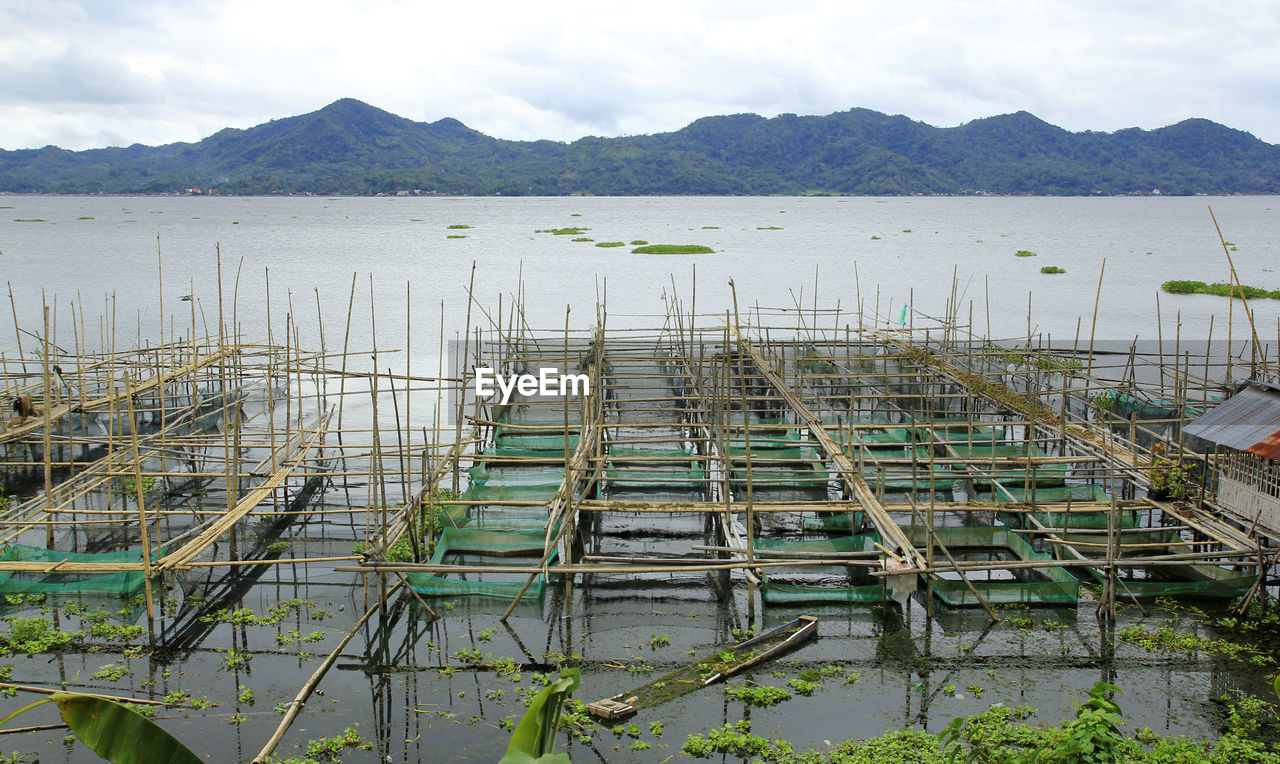 Freshwater culture cages are built by residents along the outskirts of lake tondano.