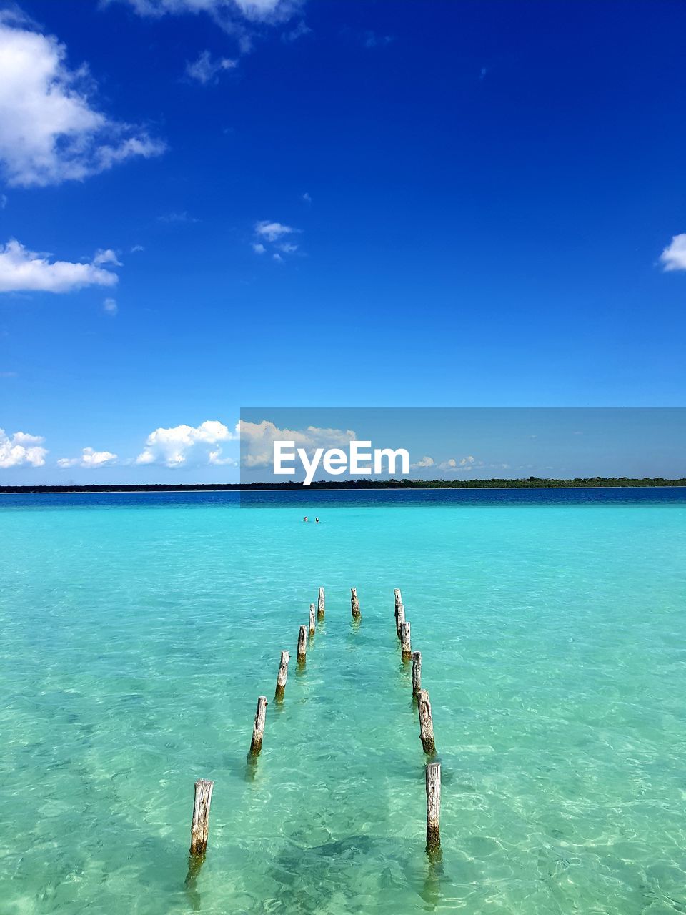 GROUP OF PEOPLE SWIMMING IN SEA