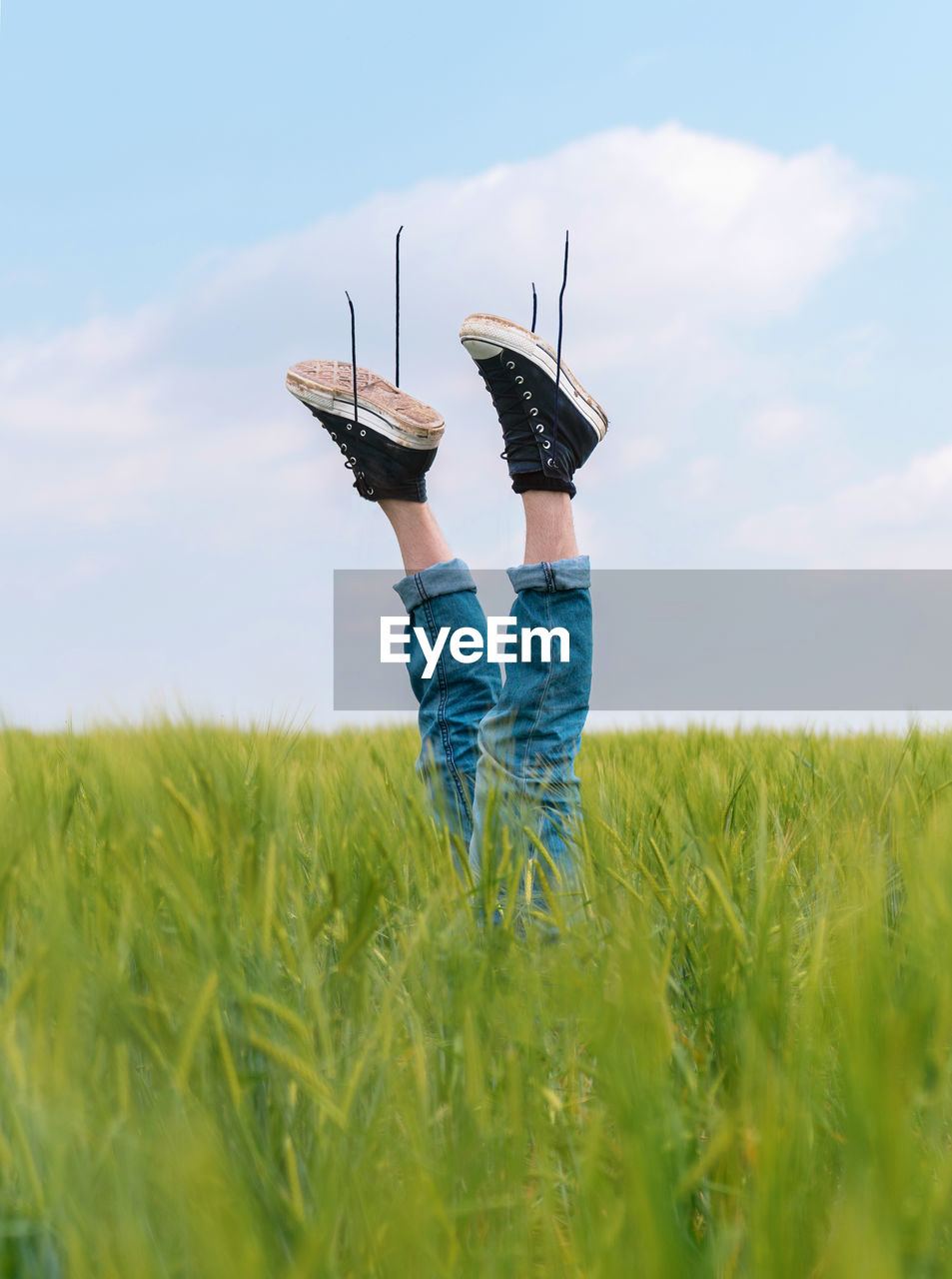 Upside down faceless person in denim and black sneakers raising legs out of green grass of field in summer