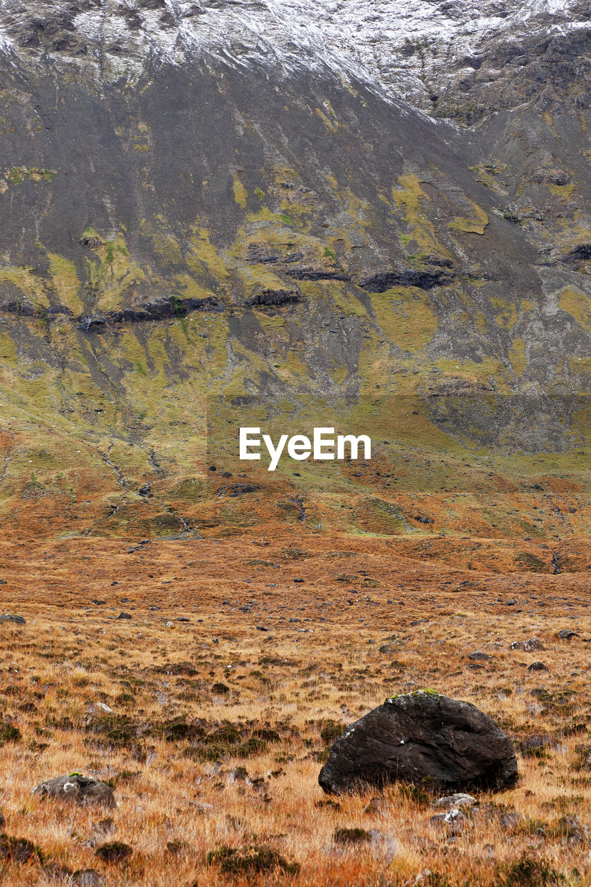 Grassy field with mountain in background