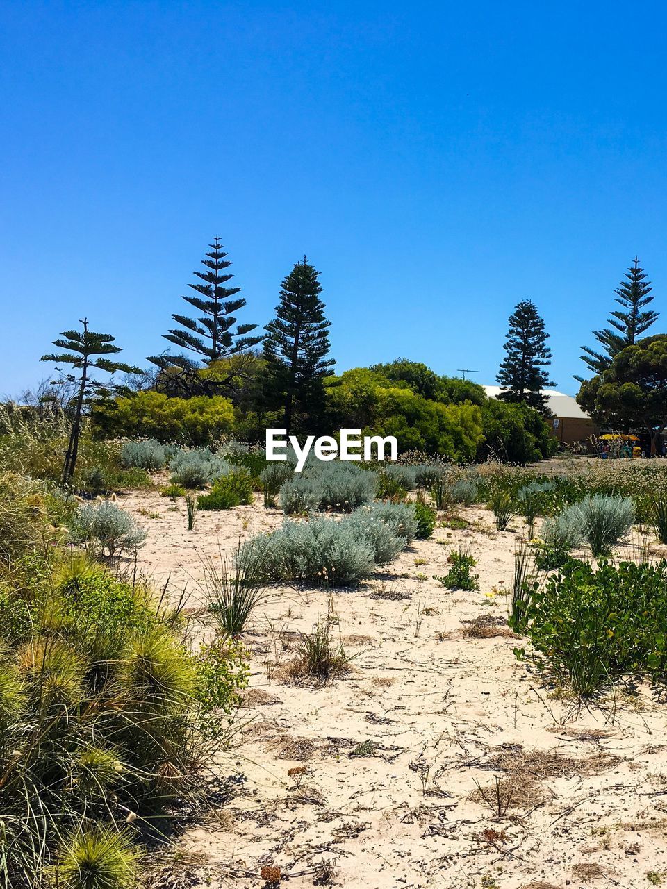 VIEW OF LANDSCAPE AGAINST CLEAR BLUE SKY