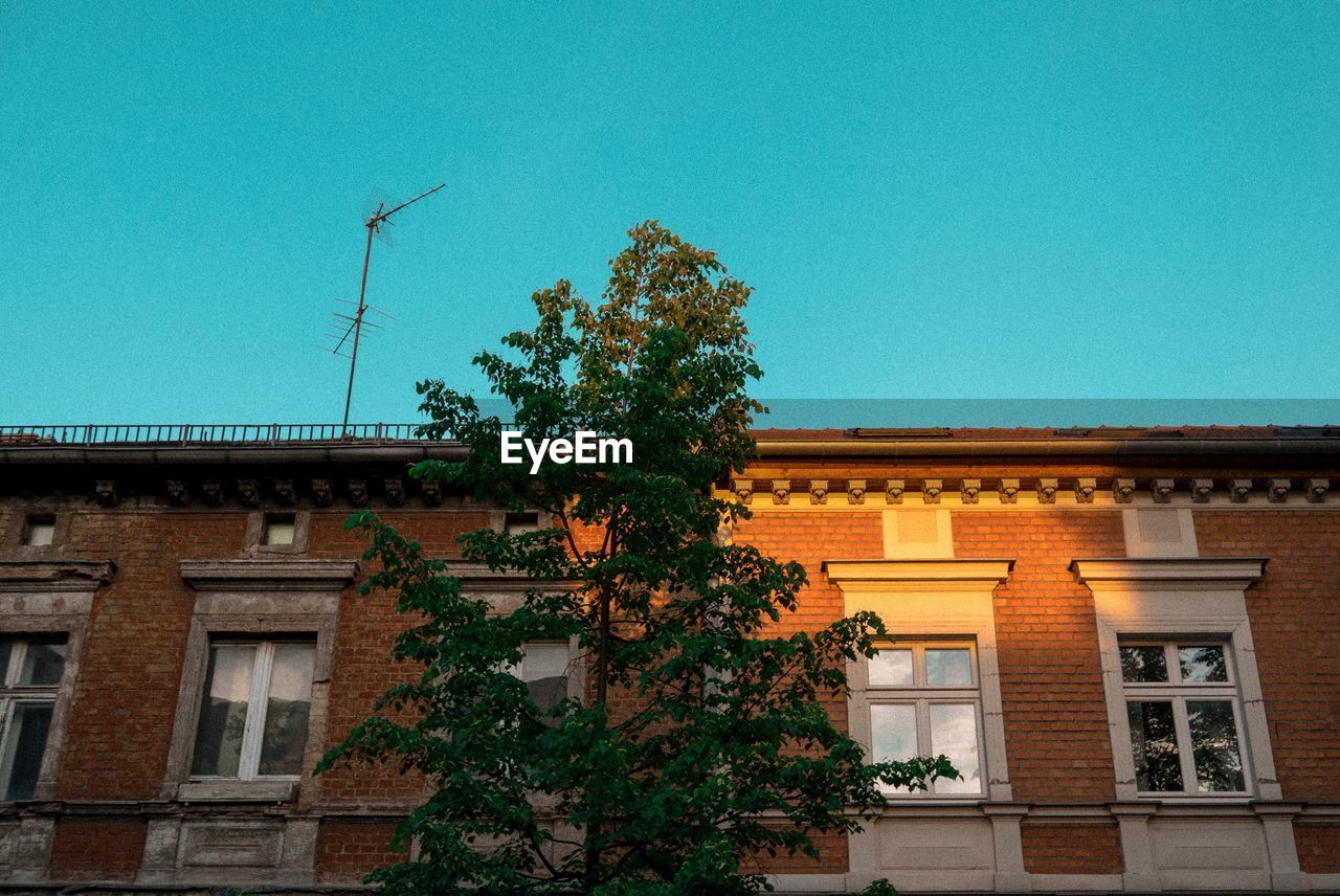 LOW ANGLE VIEW OF TREE AND BUILDING AGAINST CLEAR SKY