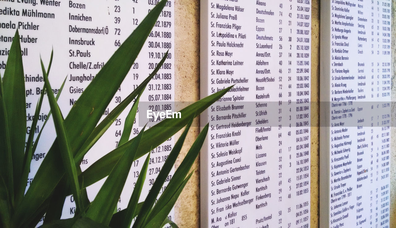 Text on boards at cemetery