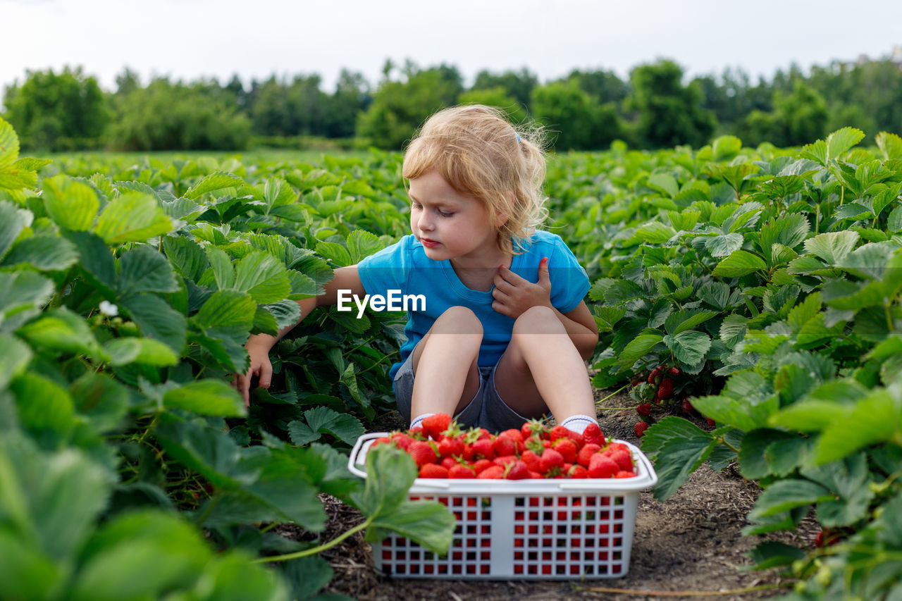 portrait of smiling girl picking vegetables