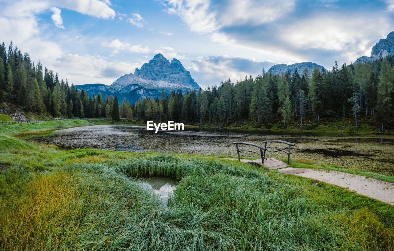 SCENIC VIEW OF TREES BY MOUNTAINS AGAINST SKY