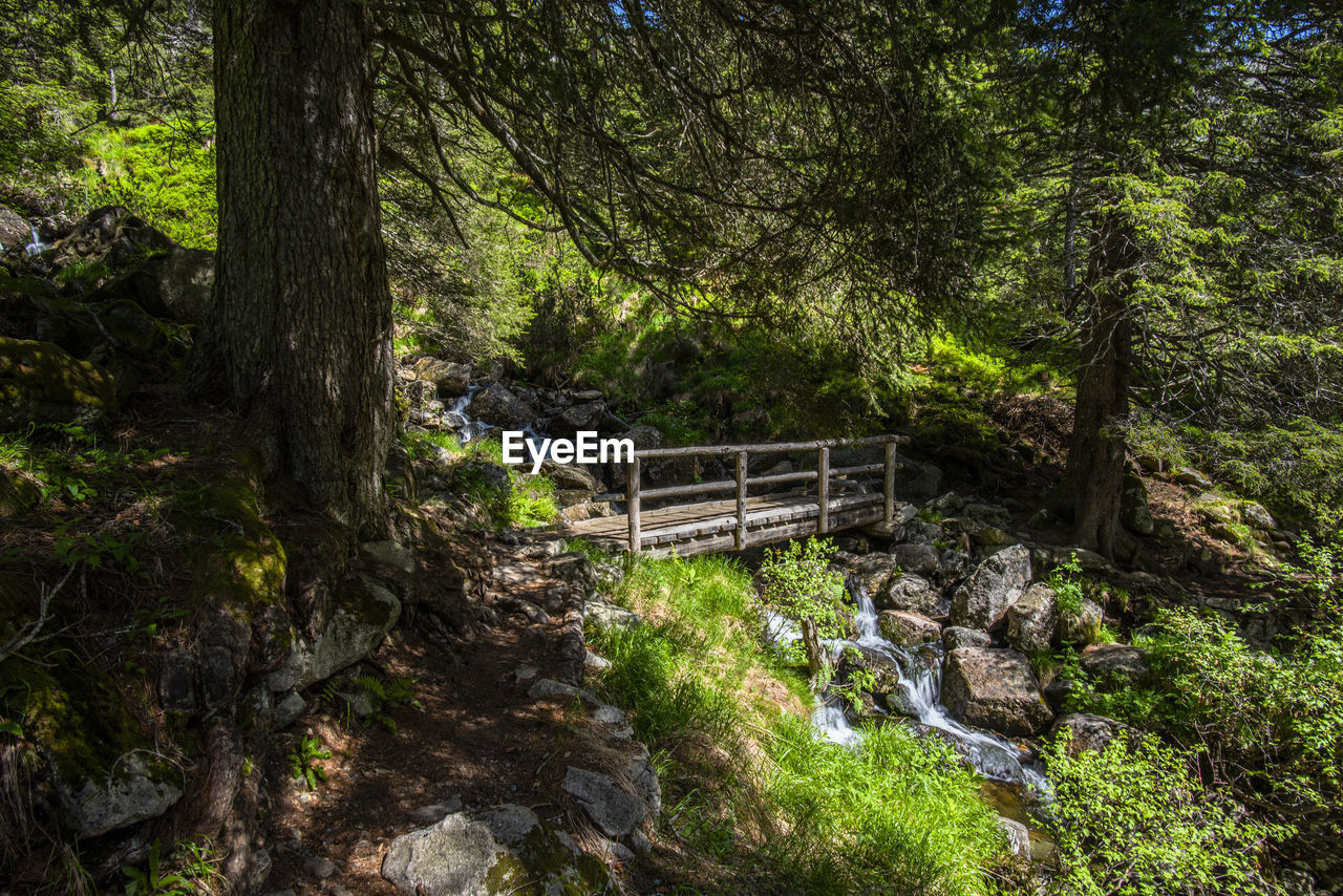 Wooden bridge on the trails of the lagorai mountain range between green meadows and larch woods 