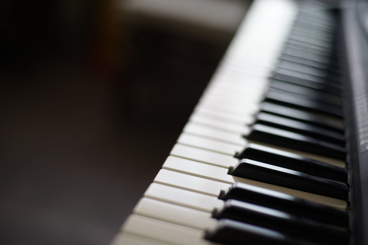 Close-up of piano keys