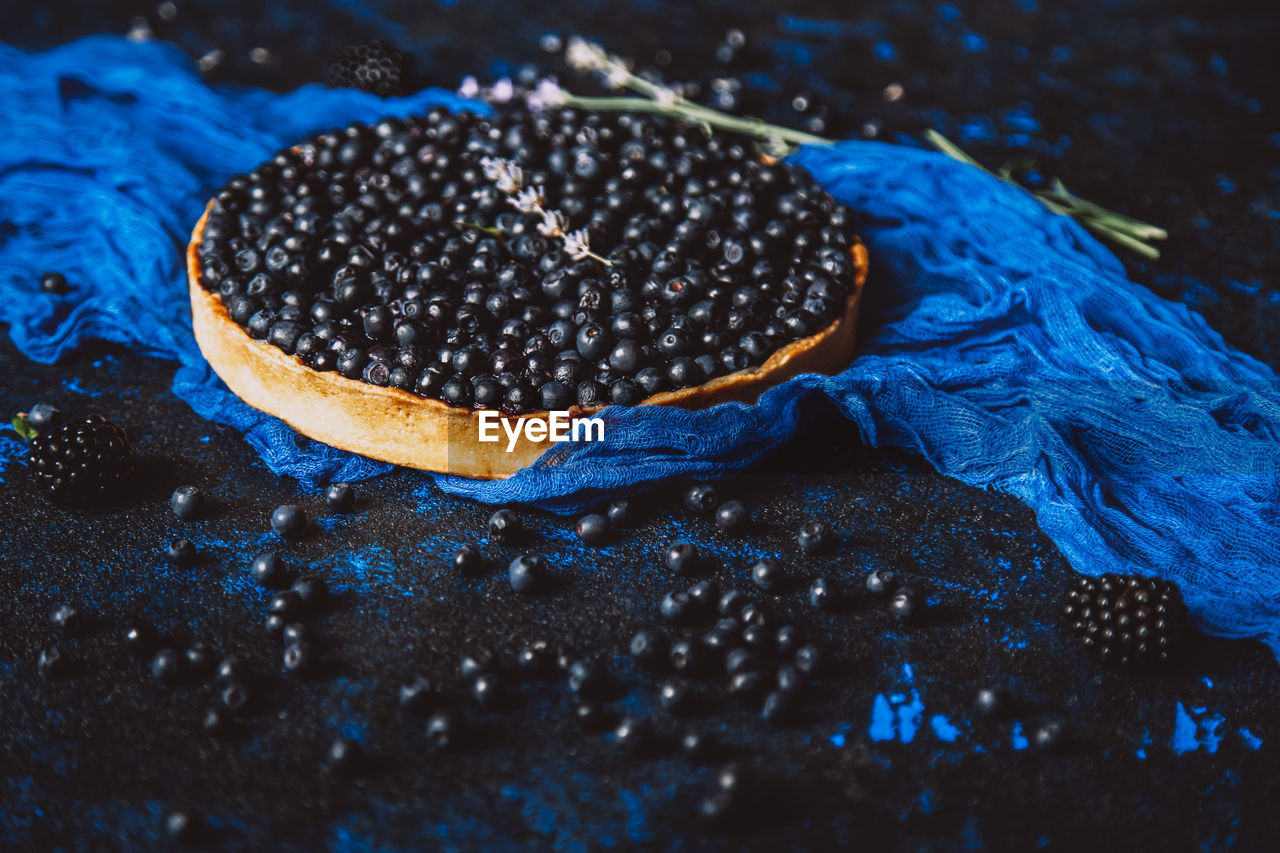 CLOSE-UP OF WATER DROPS ON BLUE FLOWERS