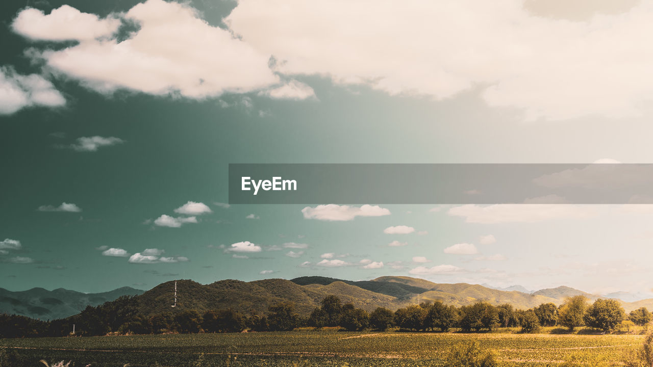 Scenic view of field against sky