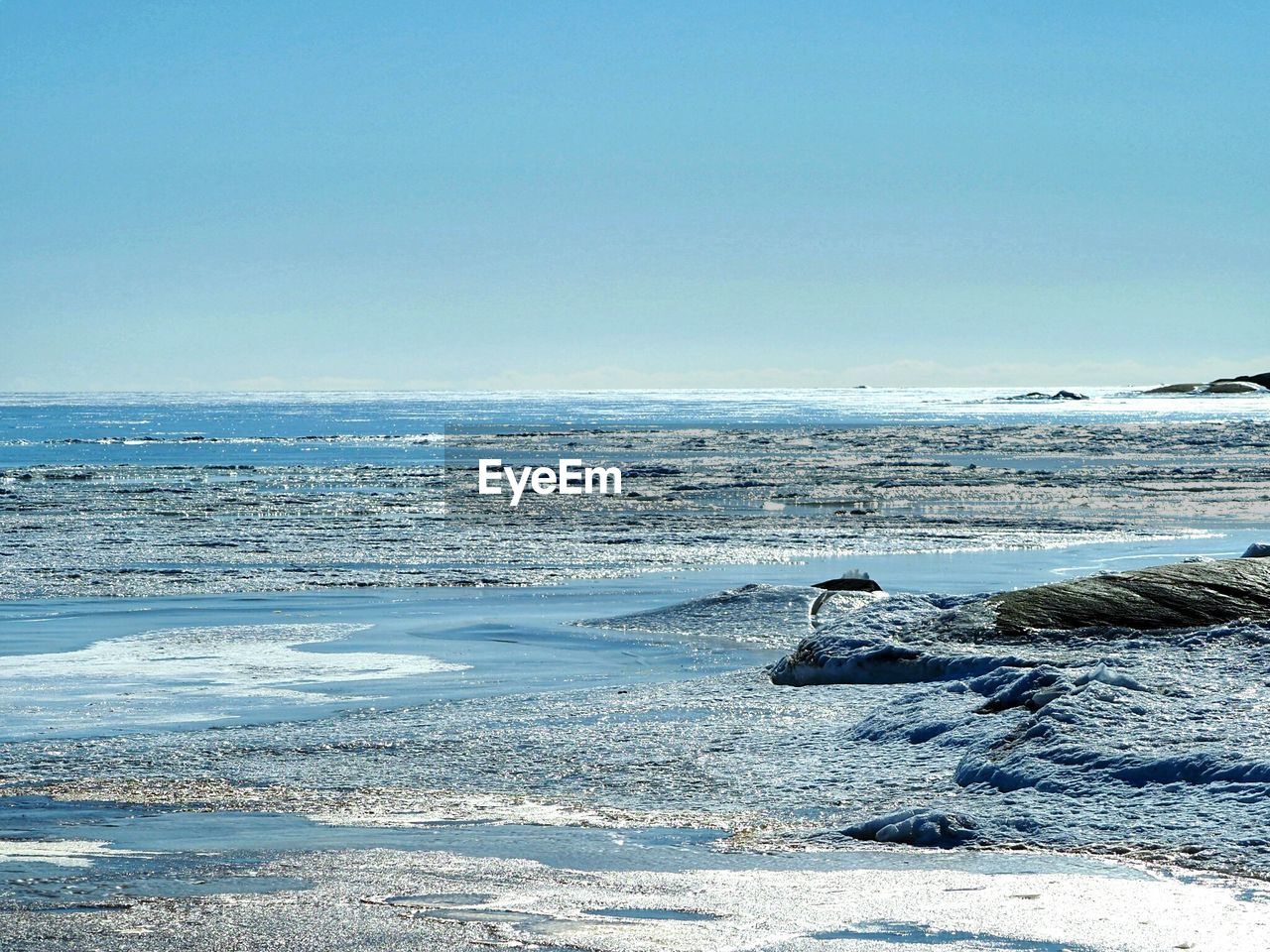 SCENIC VIEW OF BEACH AGAINST CLEAR SKY