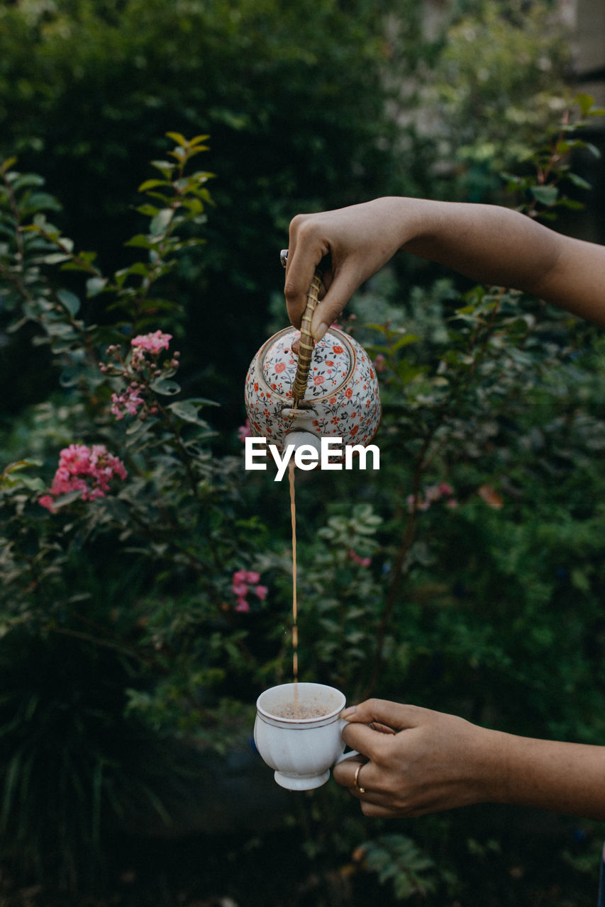 A picture of woman pouring tea against plants