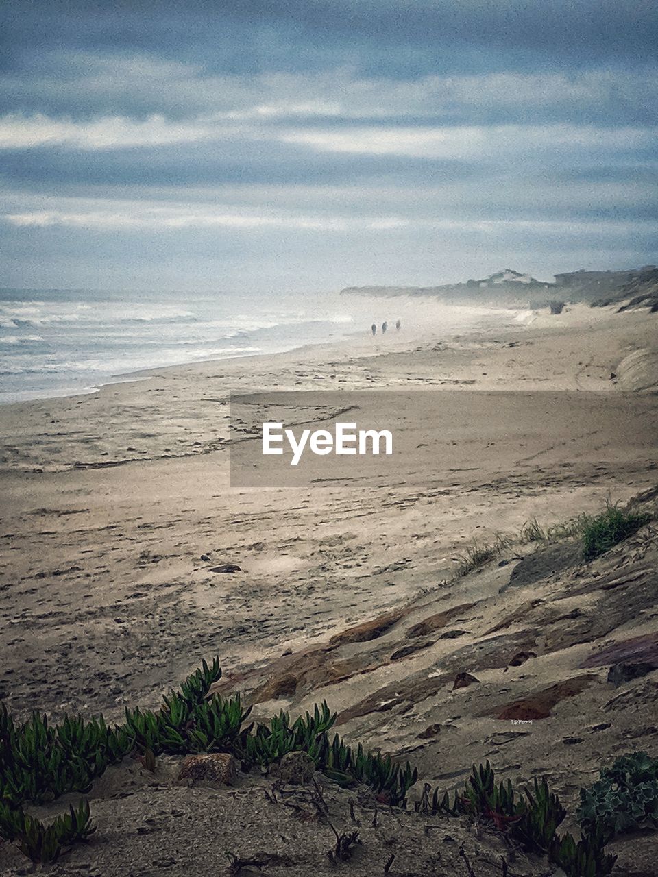 SCENIC VIEW OF BEACH