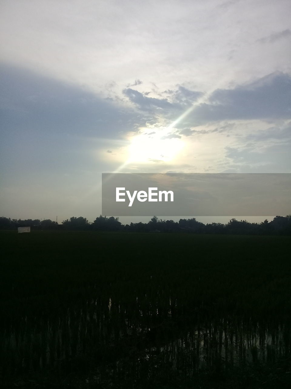 SCENIC VIEW OF FIELD AGAINST SKY AT SUNSET