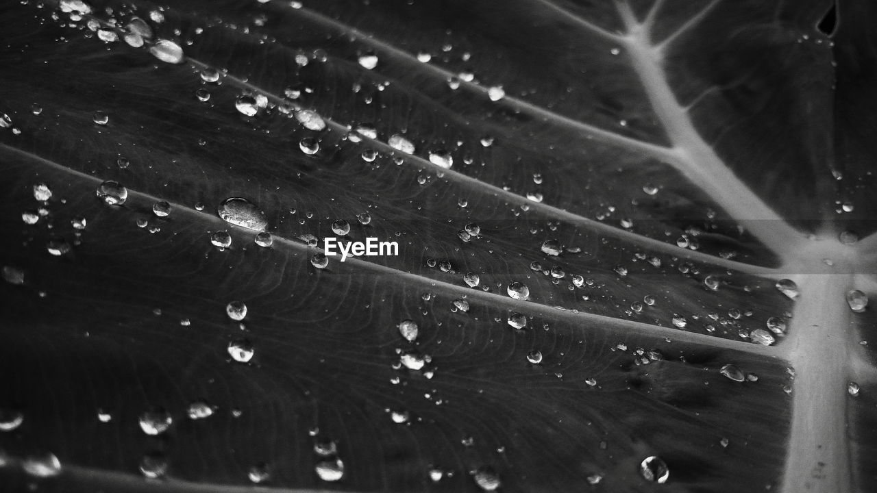 FULL FRAME SHOT OF RAINDROPS ON WET WINDSHIELD