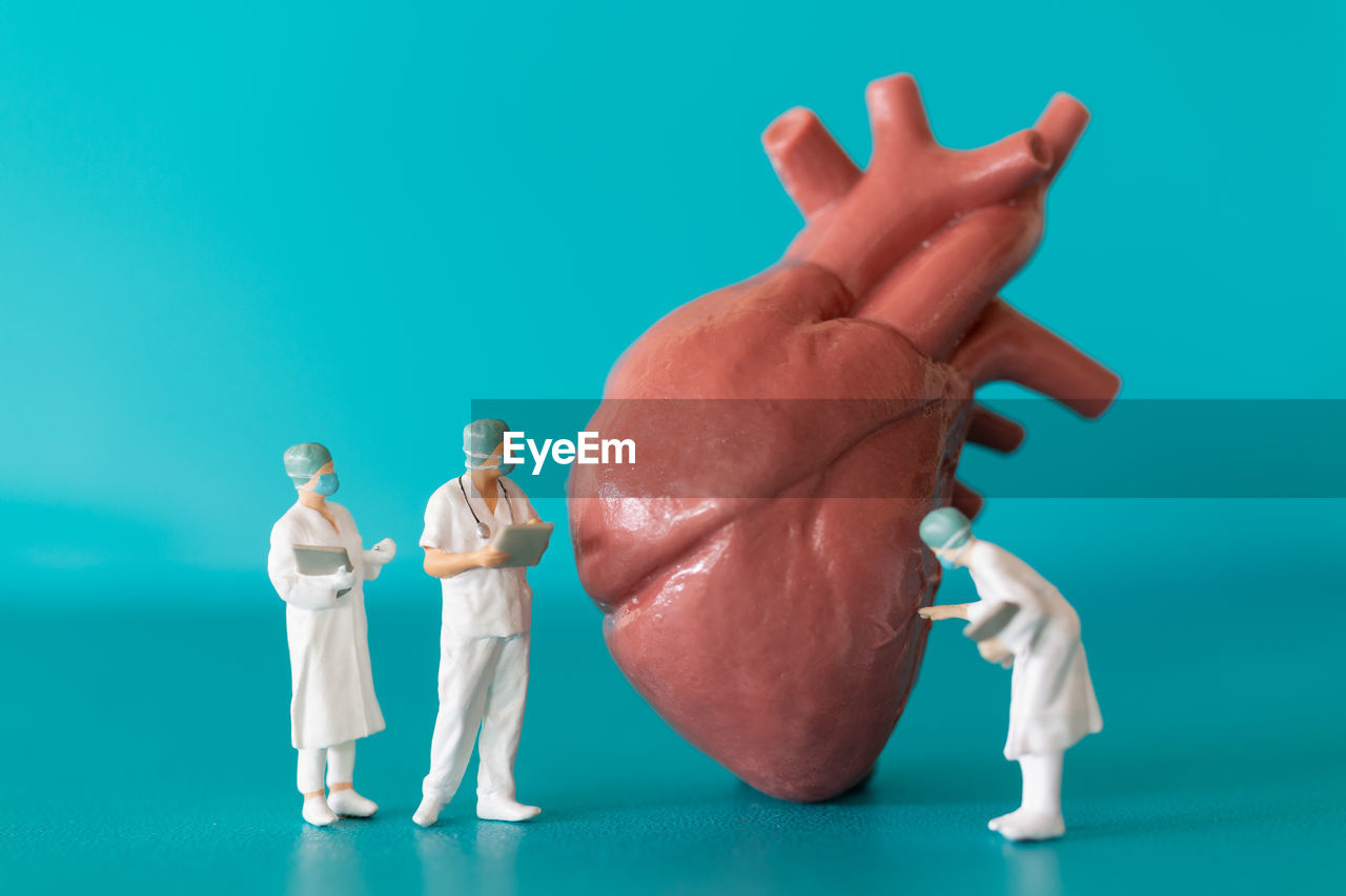 Miniature doctor and nurse observing and discussing about human heart