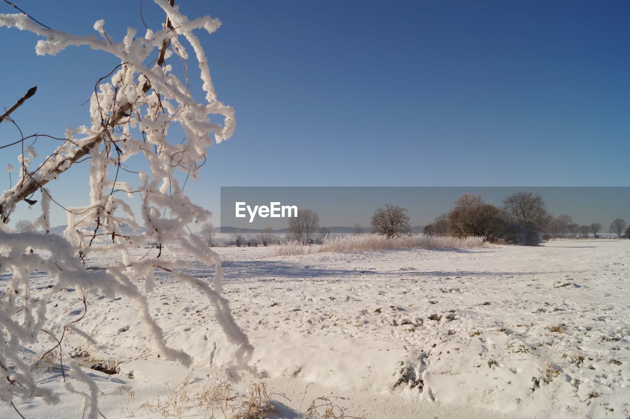 SCENIC VIEW OF SNOW COVERED FIELD AGAINST SKY