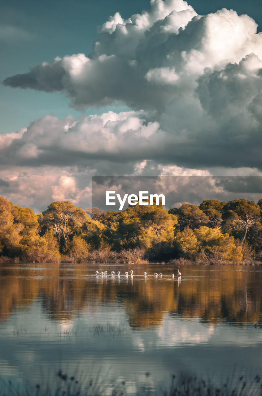 reflection, cloud, water, sky, nature, beauty in nature, lake, tree, scenics - nature, environment, plant, tranquility, morning, landscape, no people, tranquil scene, sunlight, outdoors, mountain, land, autumn, dusk, forest, travel destinations, idyllic, dramatic sky, travel, day, non-urban scene