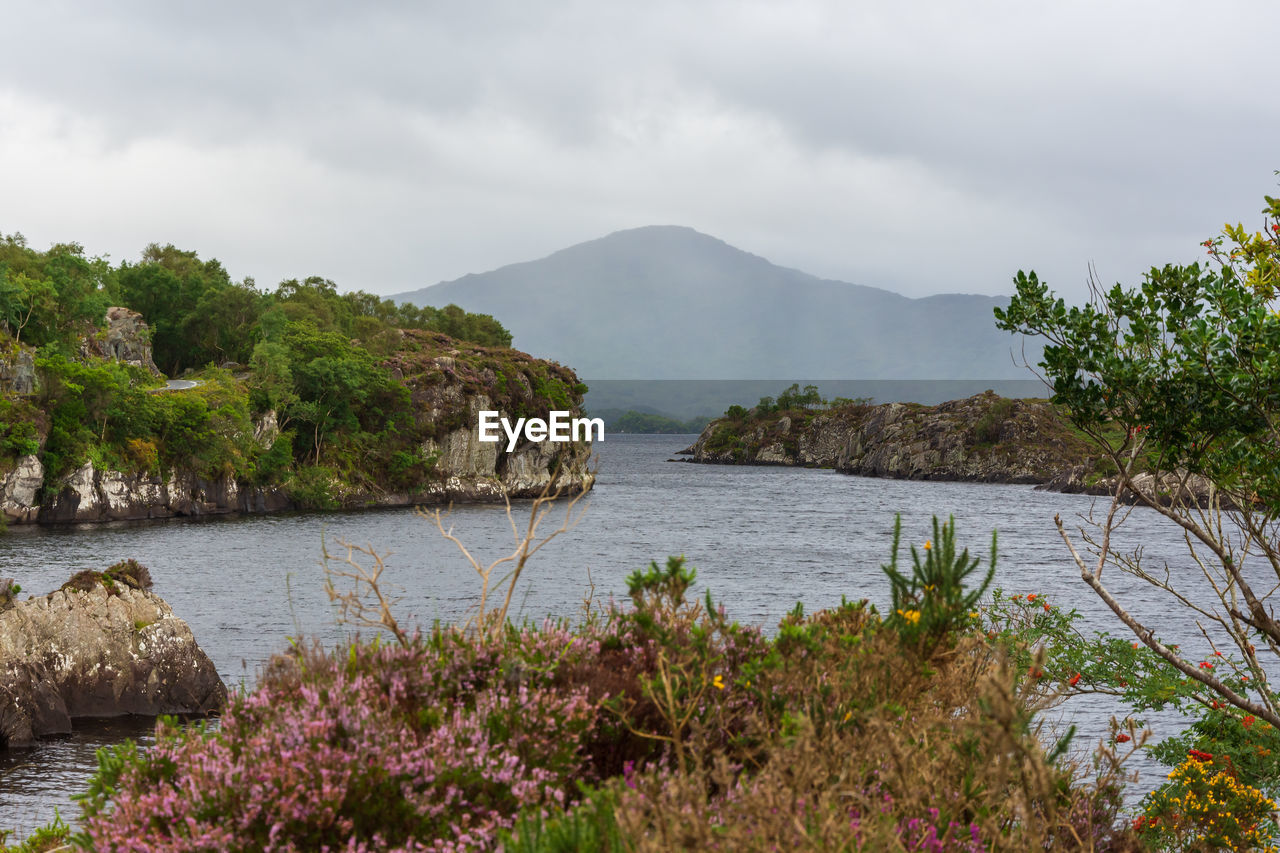 Scenic view of river by trees against sky