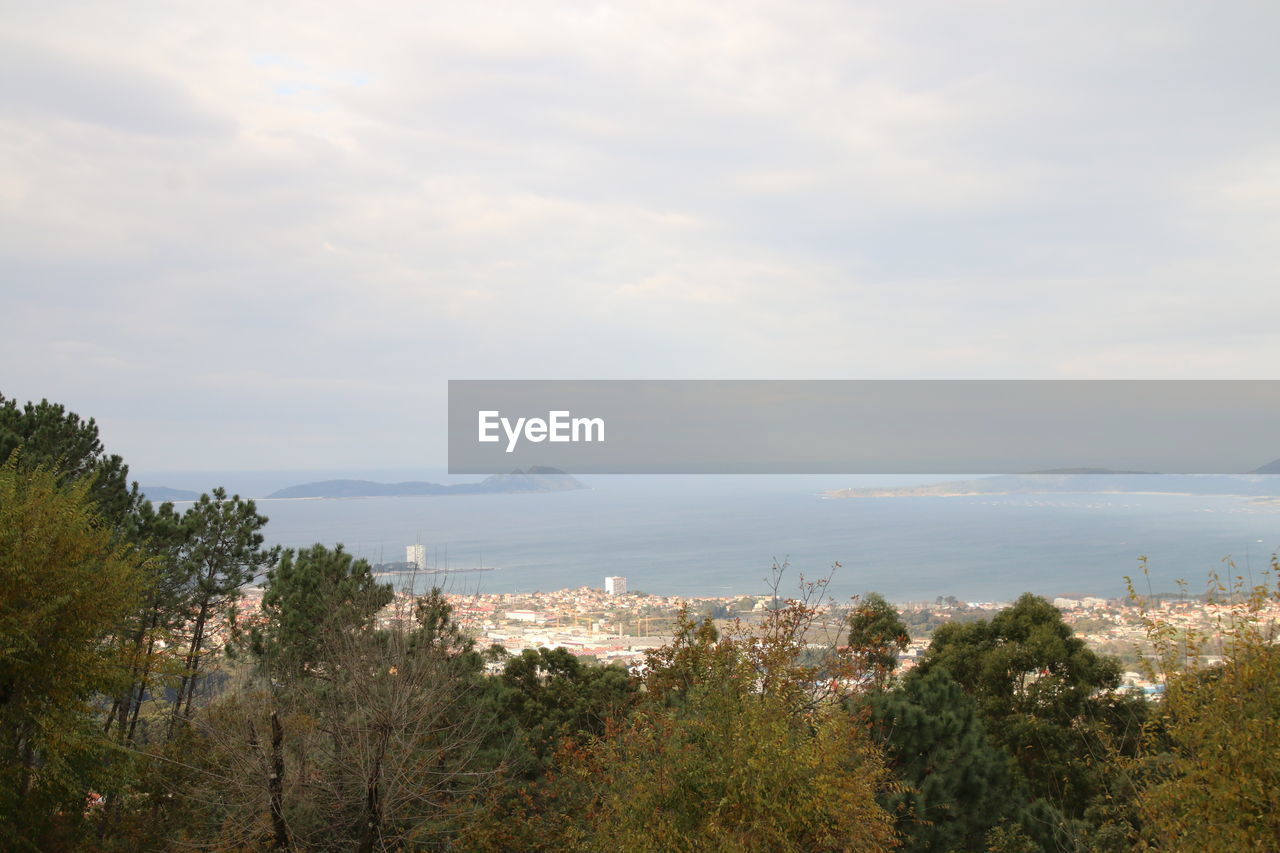 SCENIC VIEW OF SEA WITH TREES IN BACKGROUND