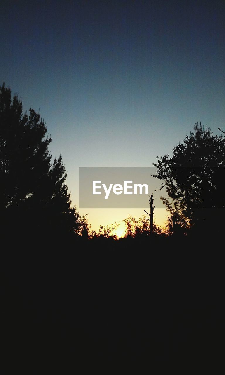 Silhouette trees on field against clear sky during sunset