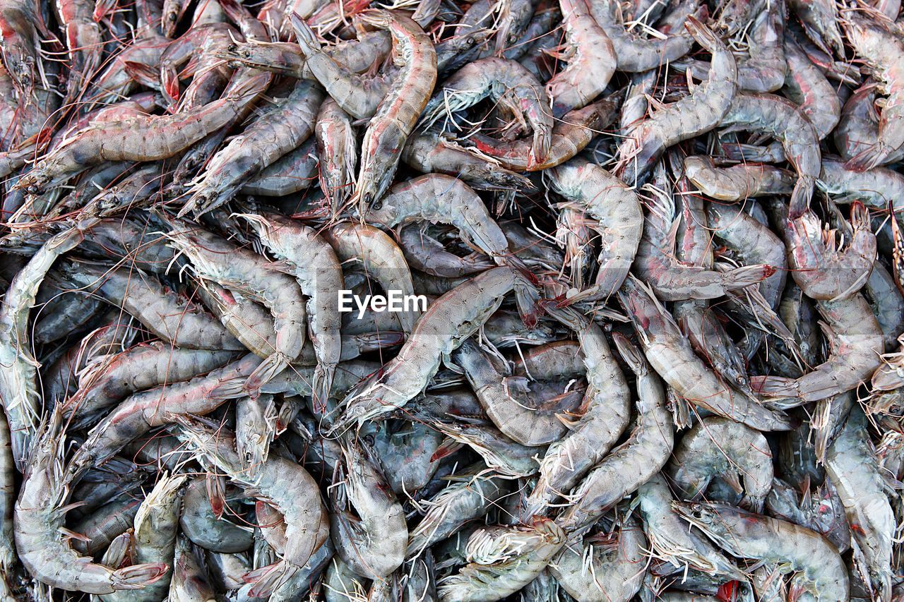 HIGH ANGLE VIEW OF FISH FOR SALE AT MARKET