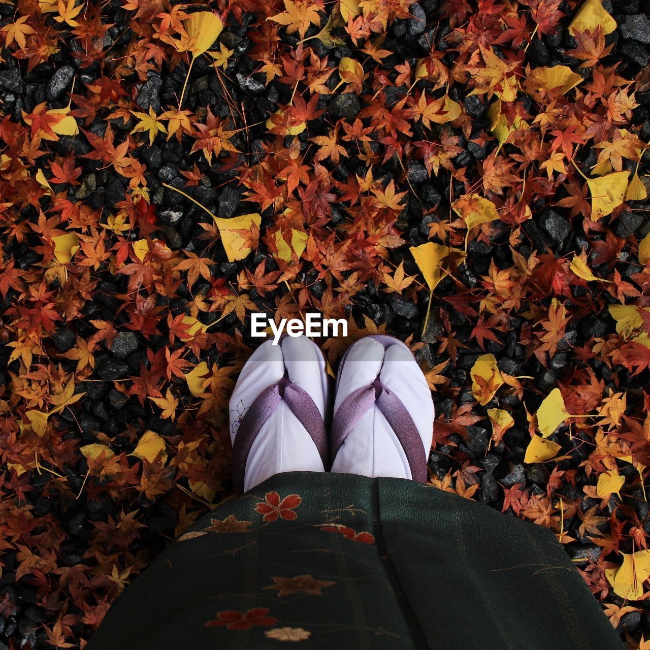 Low section of woman wearing socks and flip-flop on autumn leaves