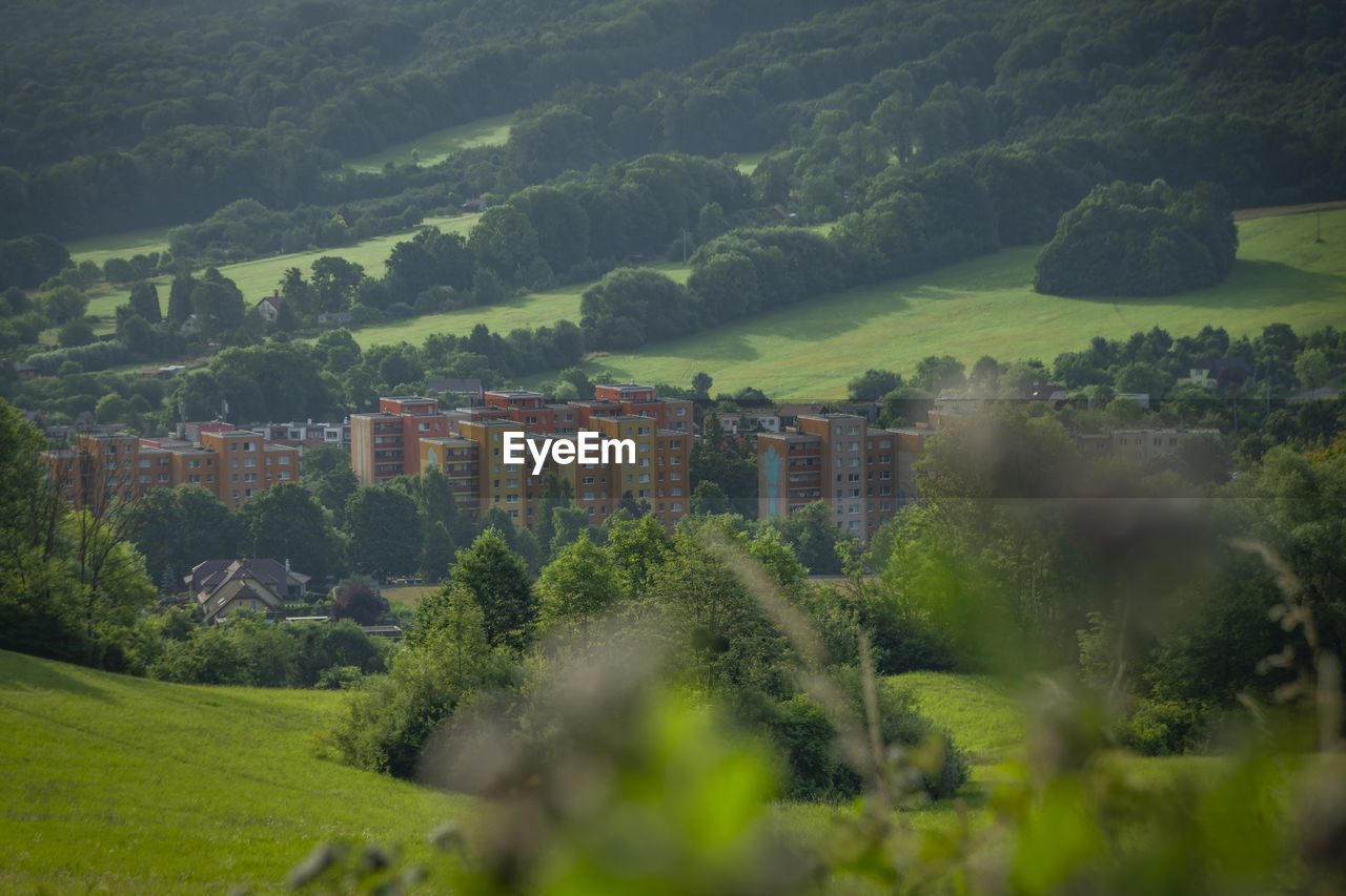 high angle view of trees on landscape