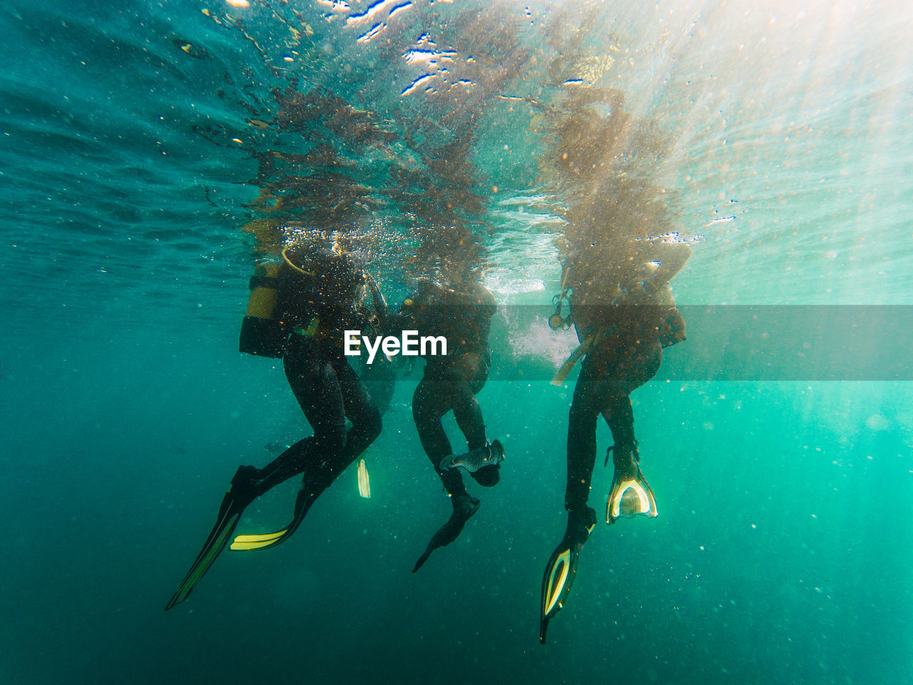 Cropped unrecognizable divers scuba diving in deep ocean