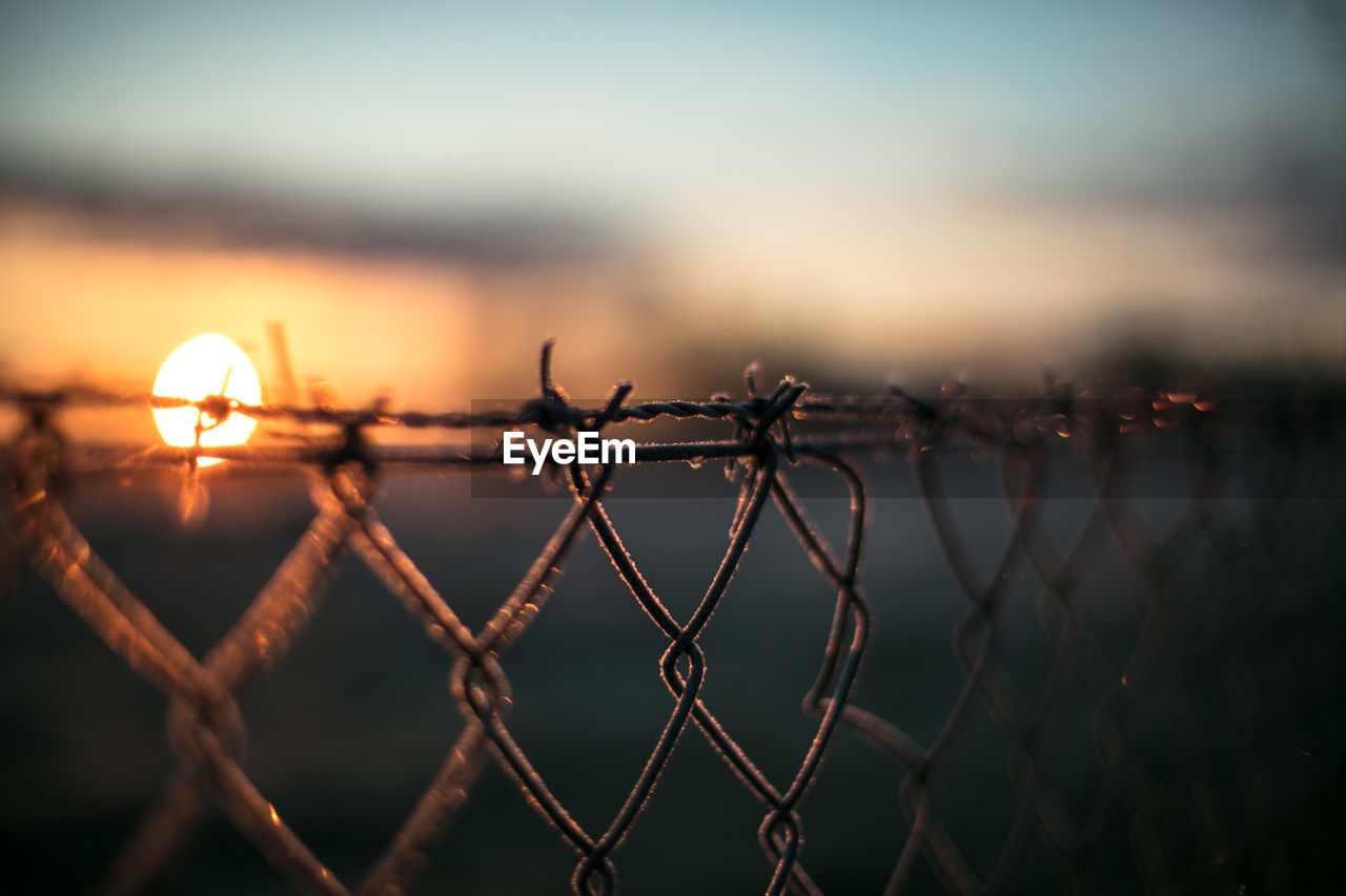 Close-up of barbed wire during sunset