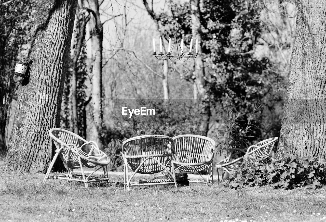 EMPTY BENCH IN PARK