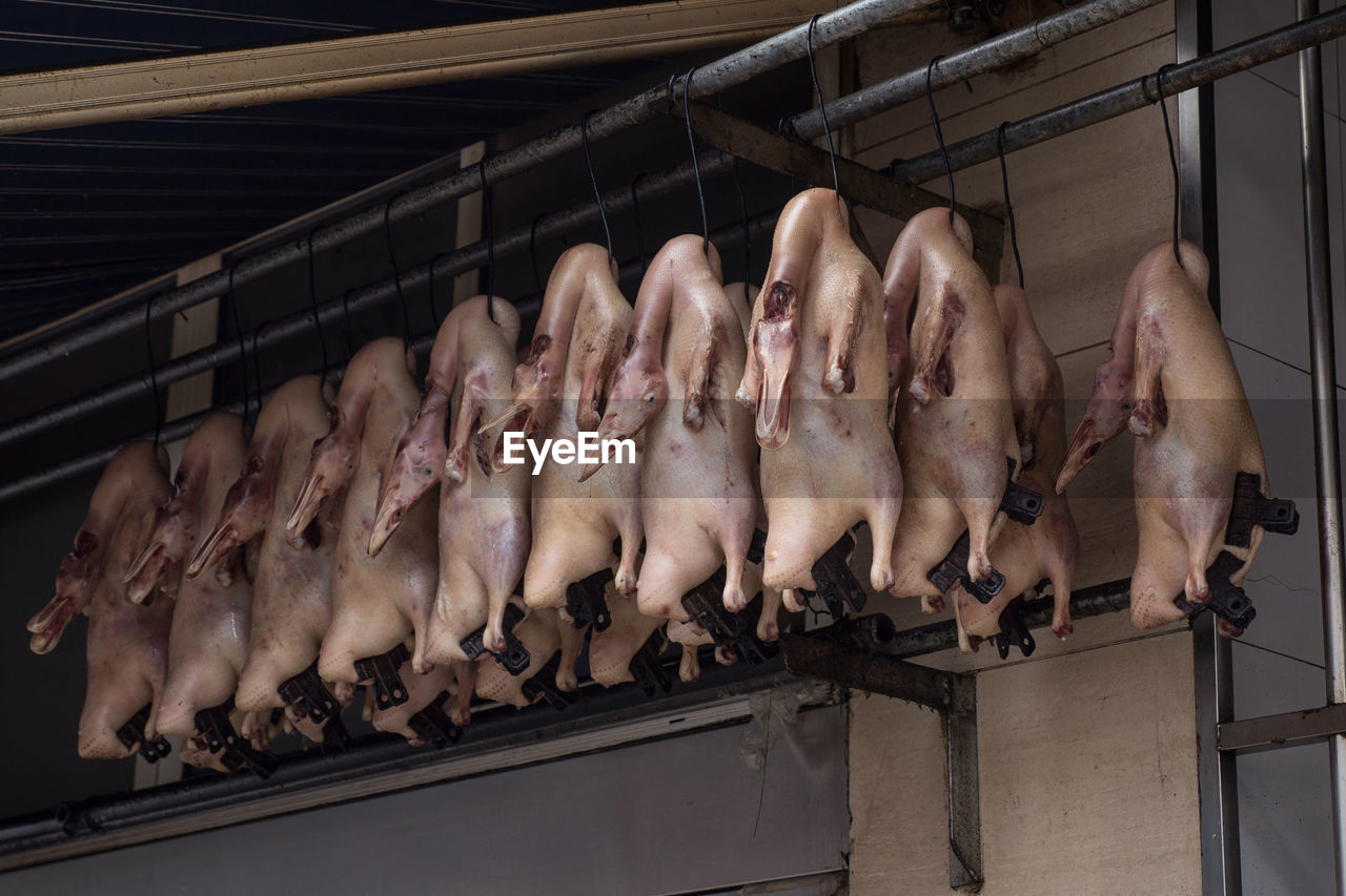 Duck meat hanging on hooks at butcher shop