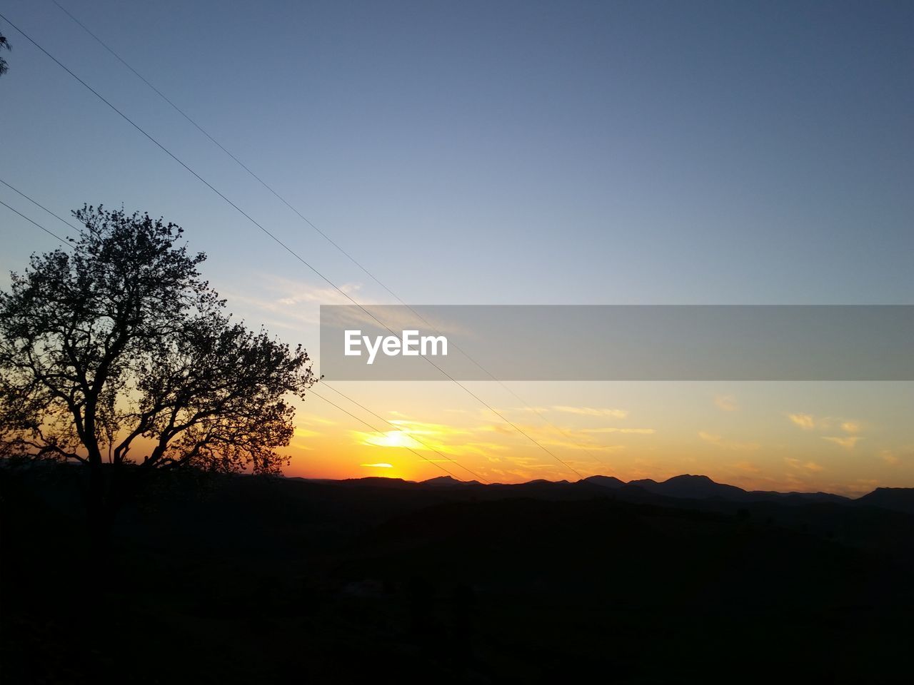 SILHOUETTE TREES AGAINST CLEAR SKY DURING SUNSET