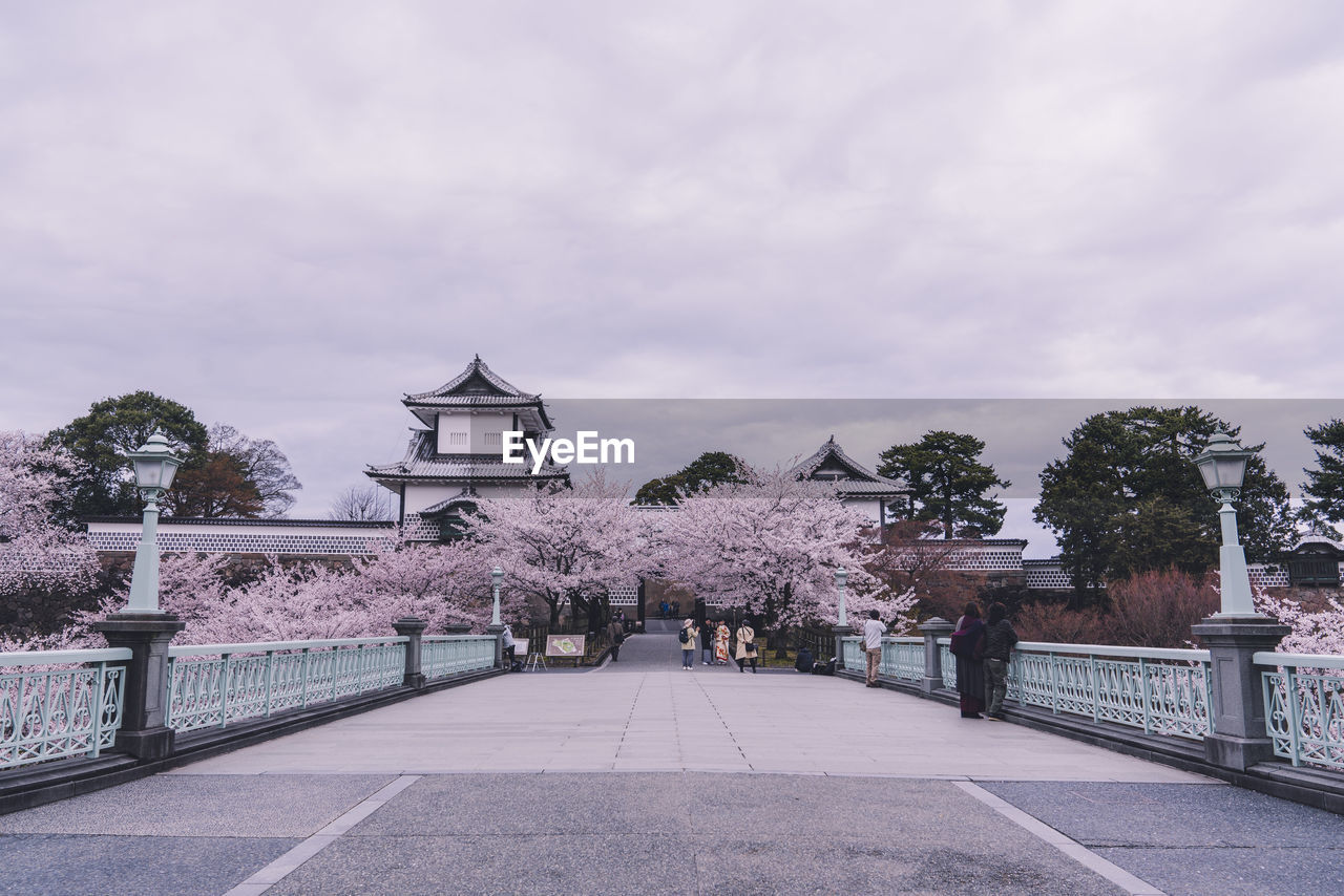 architecture, tree, plant, sky, built structure, cloud, nature, building exterior, travel destinations, city, building, travel, street, no people, road, outdoors, the past, history, transportation, tourism, day, urban area, flower, religion, footpath, place of worship, house, overcast, residential area