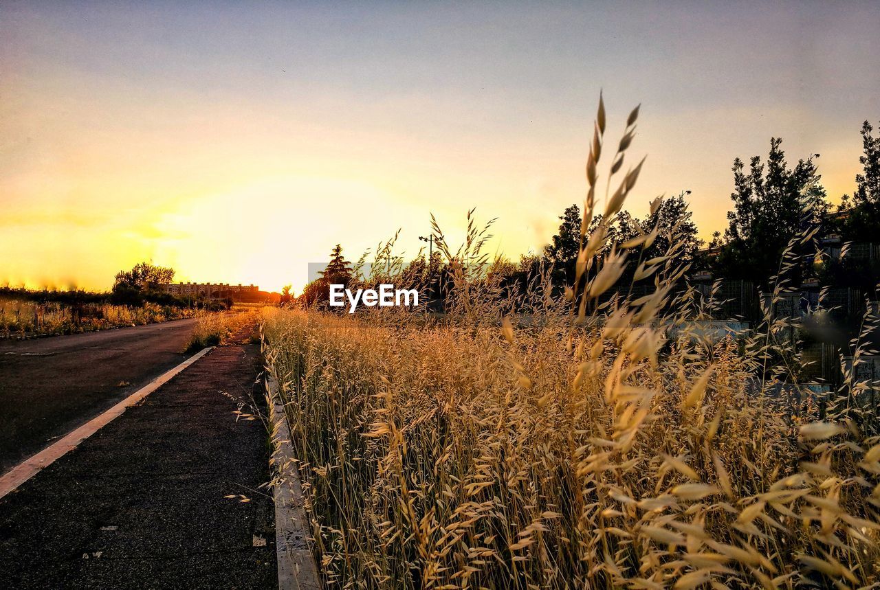 View of road against sky at sunset