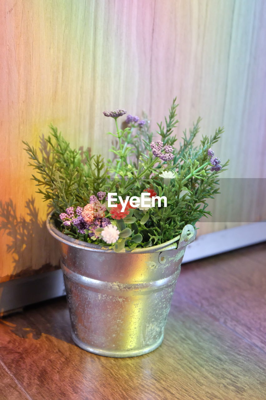 POTTED PLANTS ON TABLE