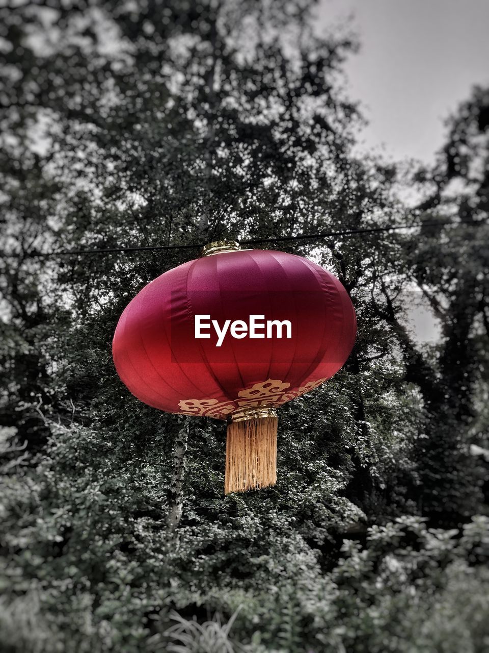 LOW ANGLE VIEW OF RED UMBRELLA